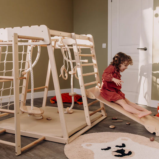 Montessori Indoor Jungle Gym