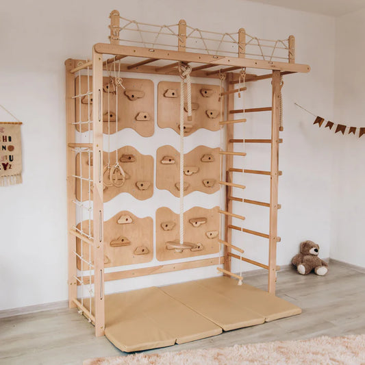 Montessori Indoor Monkey Bars