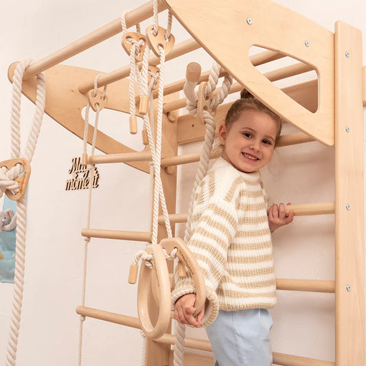 Montessori Swedish Climbing Wall Ladder