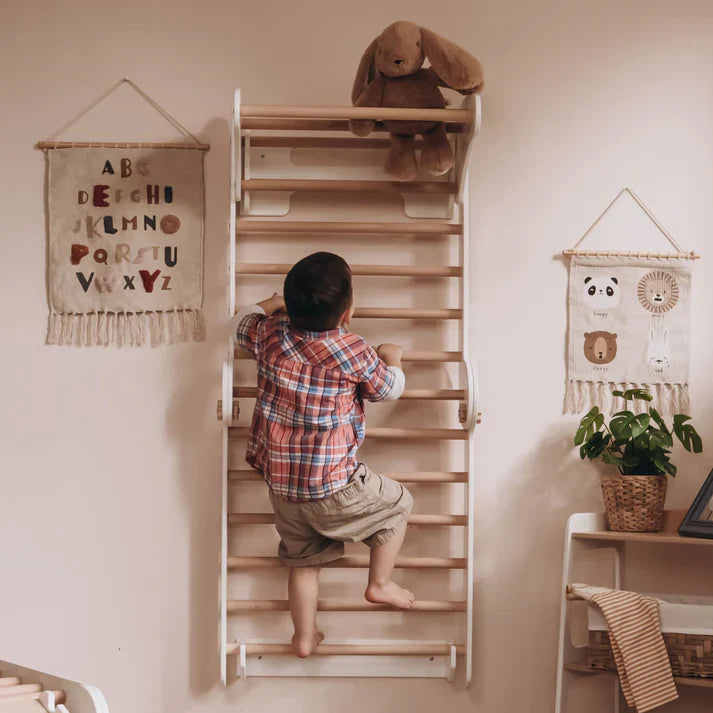 Montessori Swedish Climber Sets